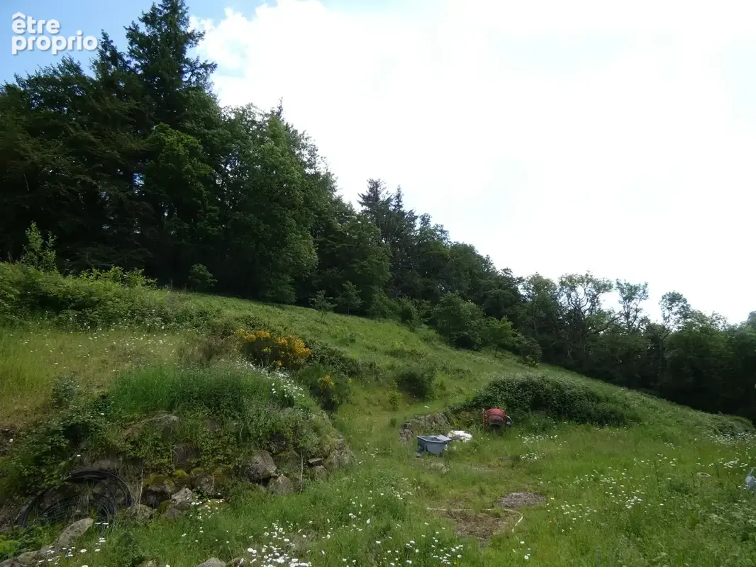 proche de ARGENTAN (61) propriété de 9078 m² de terrain - photo 12