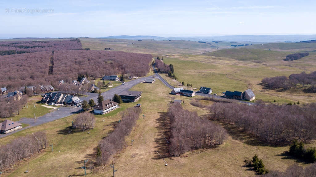 Commerce à LAGUIOLE