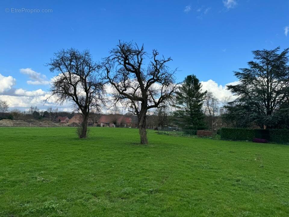 Terrain à THUMERIES