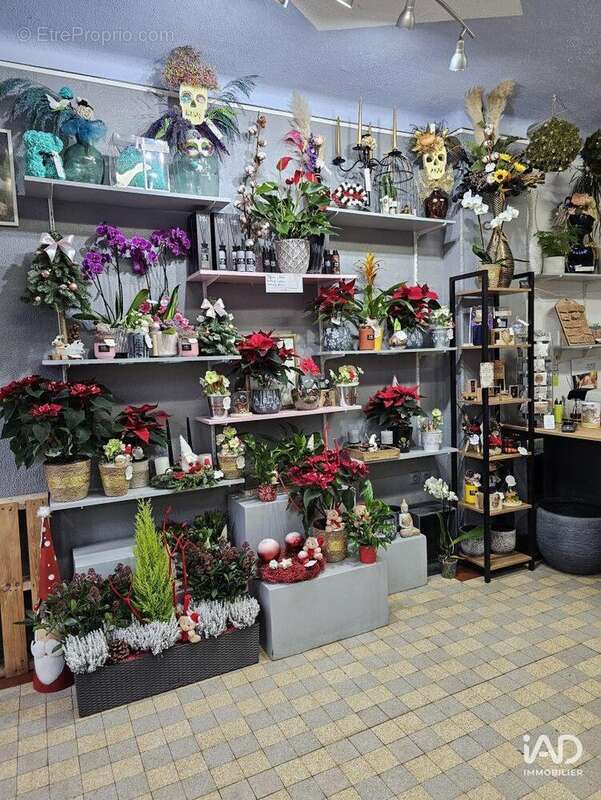 Photo 4 - Commerce à REHON