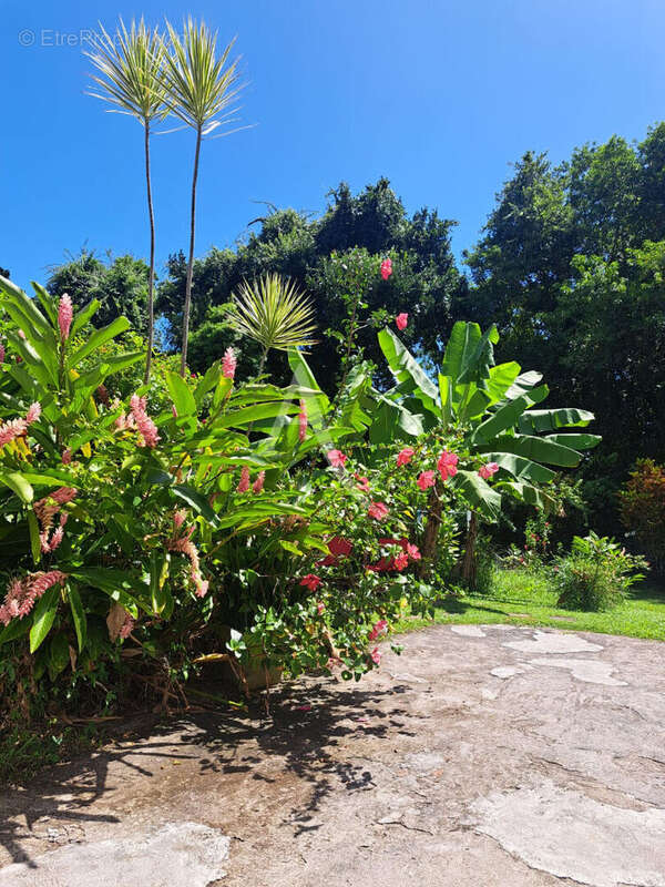 Maison à LA TRINITE