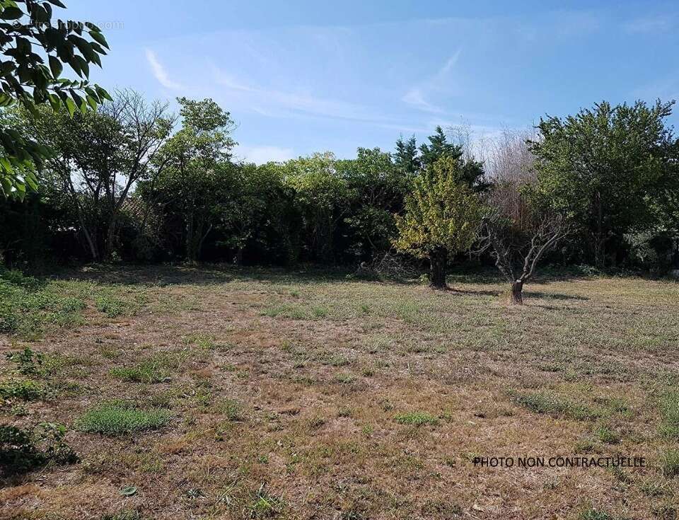 Terrain à PELISSANNE