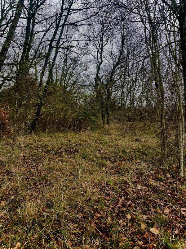 Terrain à NOTRE-DAME-DE-SANILHAC