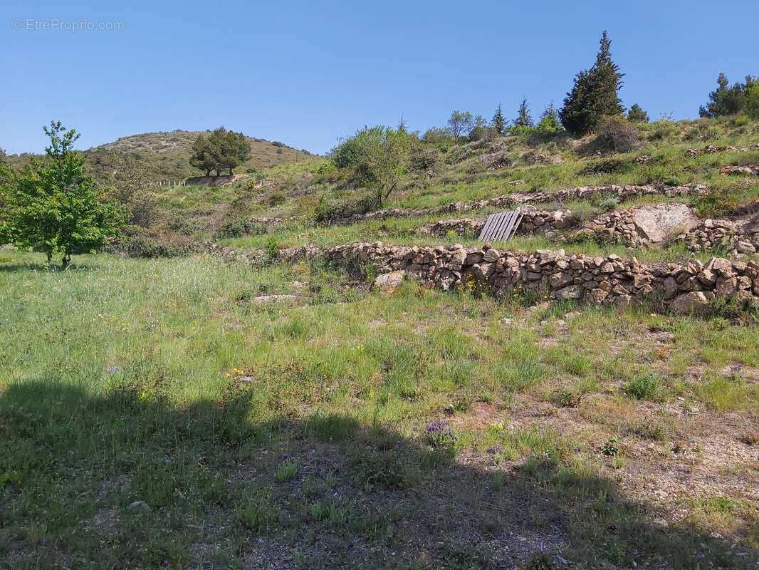 10 Mn d'ille Sur Têt (Secteur Montalba ) - photo 3