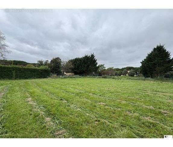 Terrain à GOUTEVERNISSE