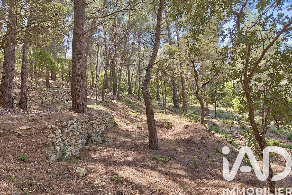 Photo 9 - Maison à CEYRESTE