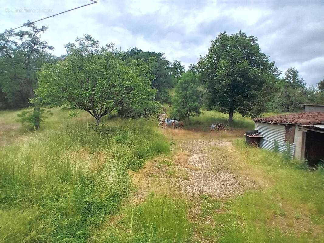 Terrain - Maison à SAINT-PIERRE-LAFEUILLE