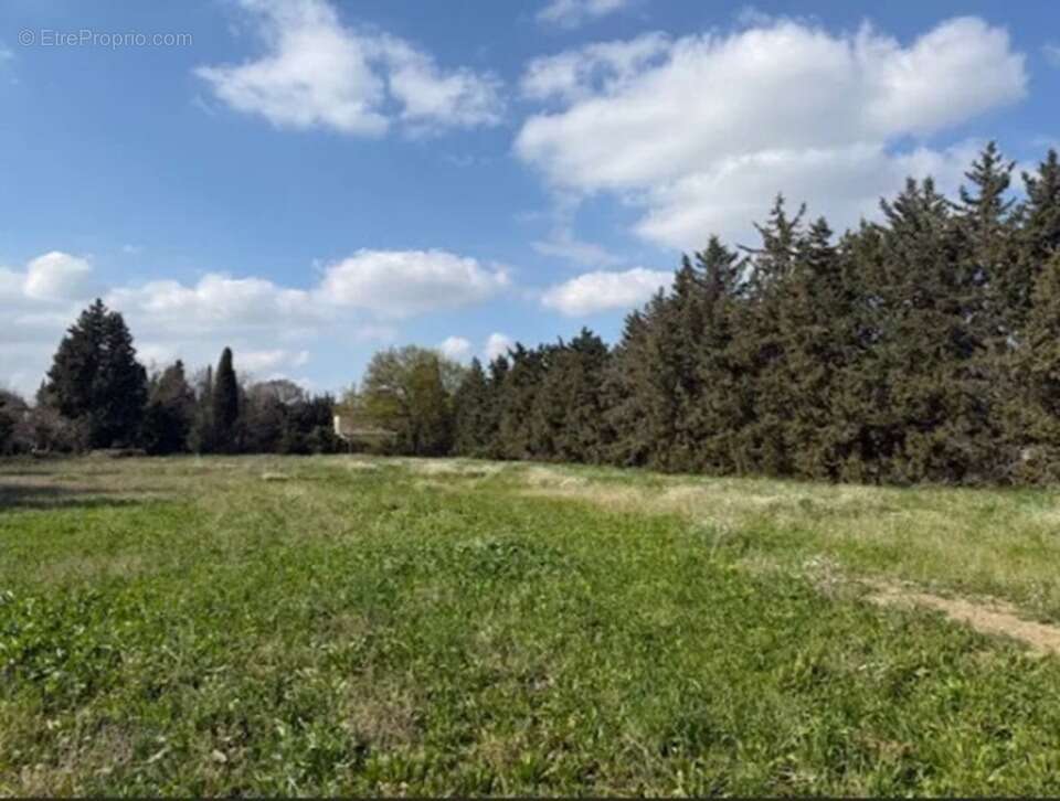 Terrain à AVIGNON