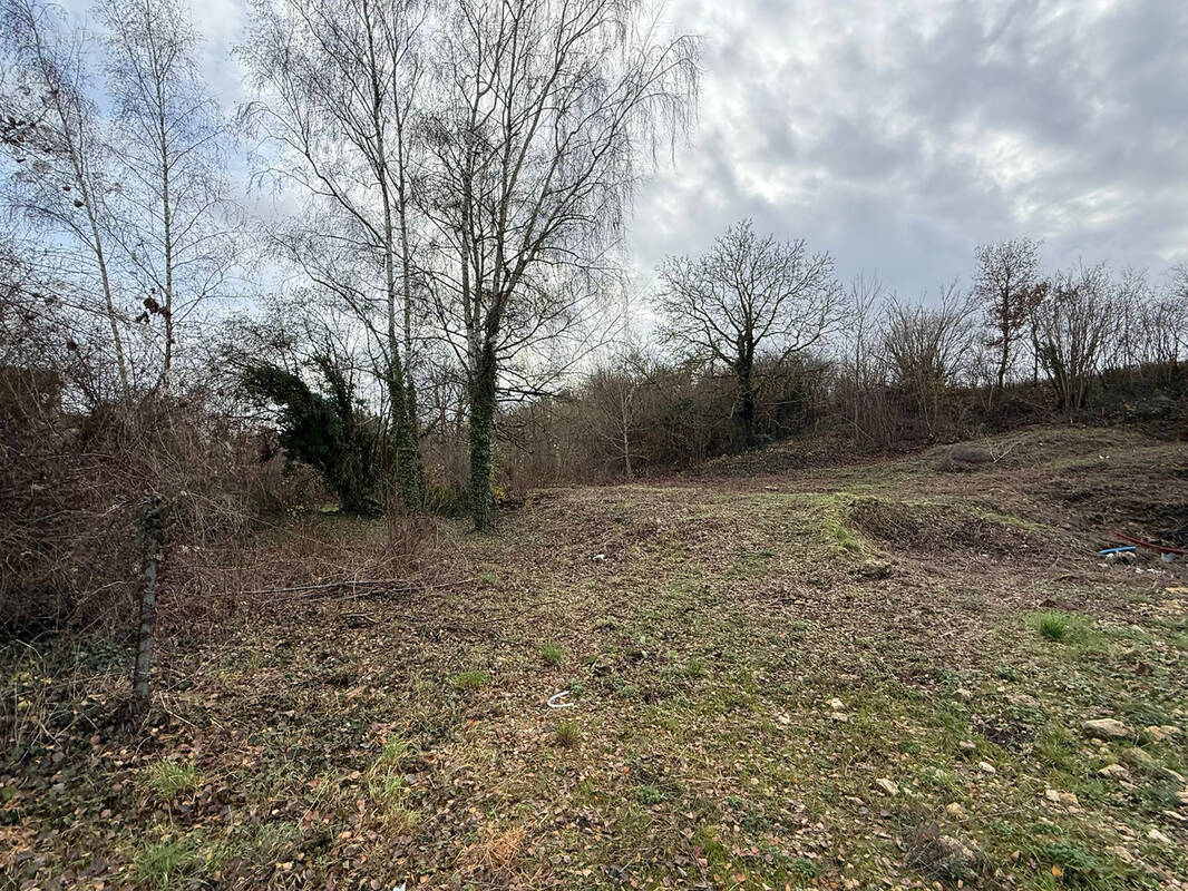 Terrain à CHALOU-MOULINEUX