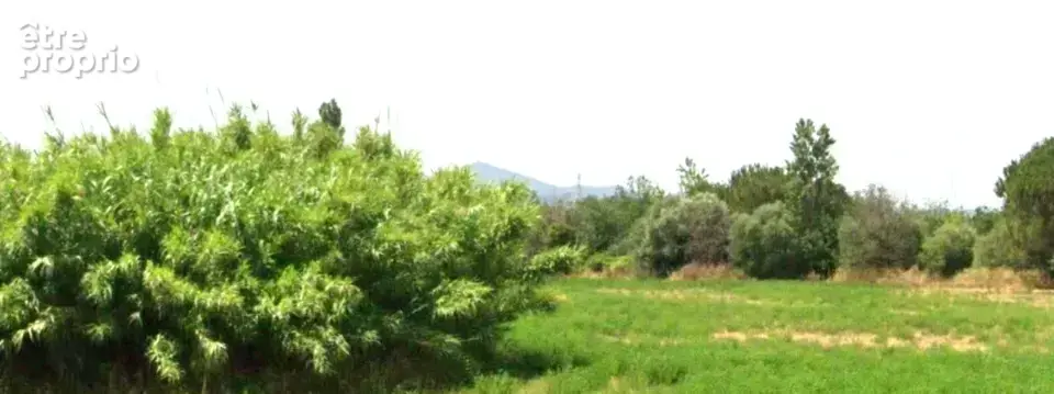 Terrain 590 m² à vendre à Villeneuve-La-Riviere (66610) - photo 2