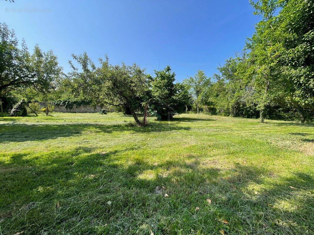 Terrain à SAINT-PIERRE