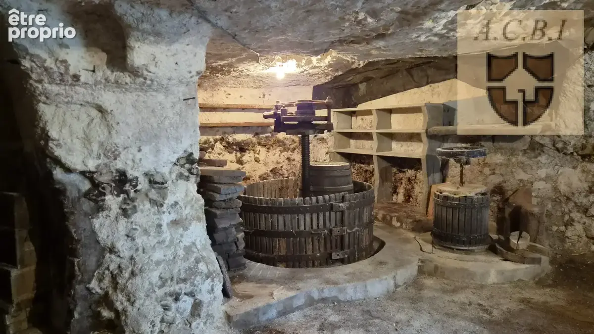 Naveil - maison avec caves troglodytiques, garage et grand terrain - photo 12