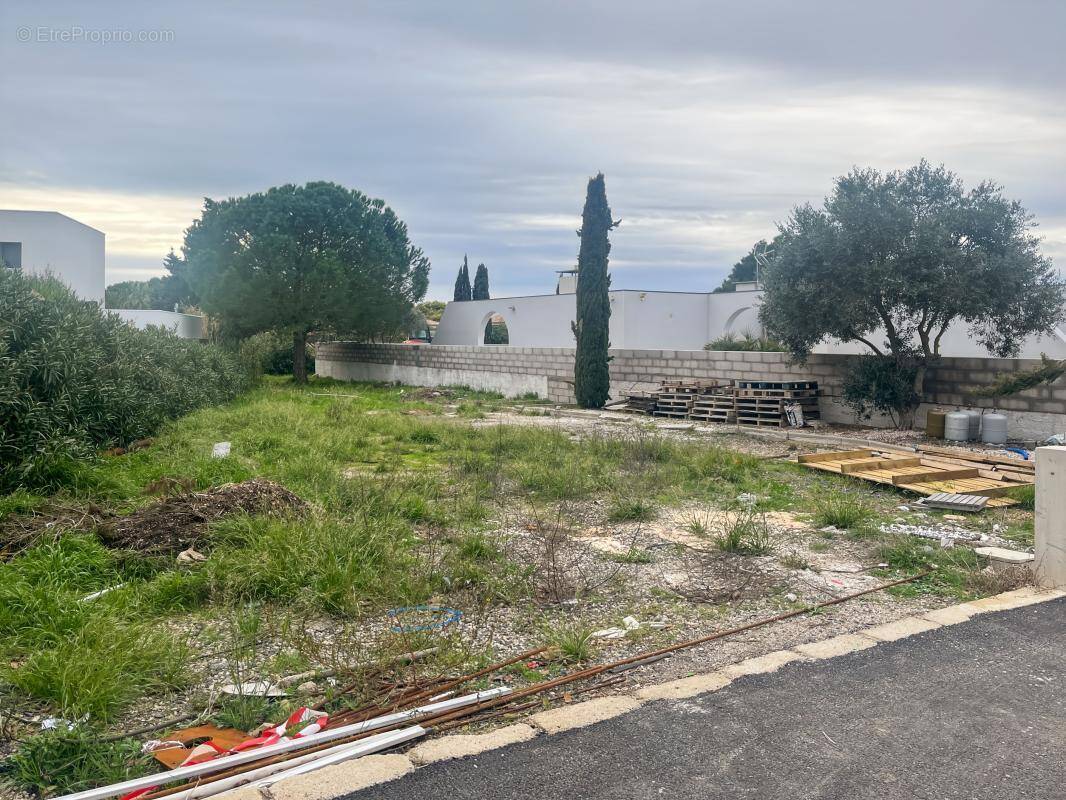 Terrain à MARSEILLAN
