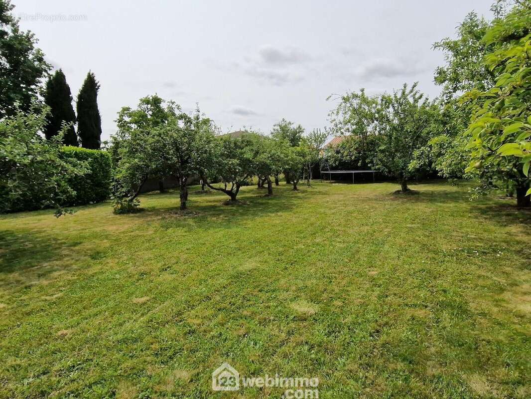 Le jardin / verger - Maison à LA ROCHE-SUR-YON