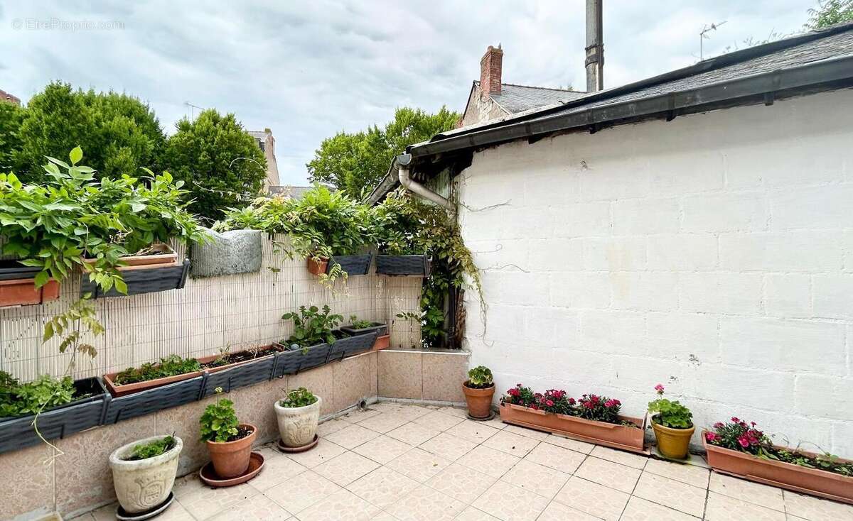   - Maison à ANGERS