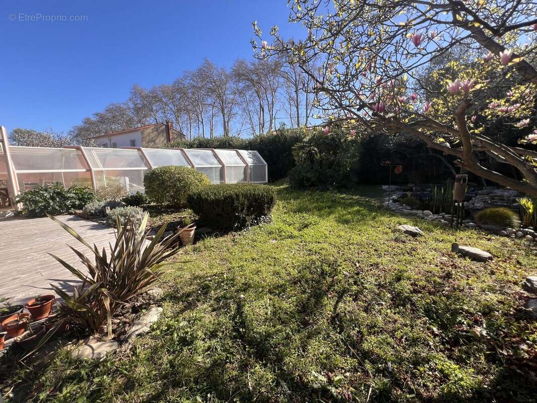 Maison à SAINT-FELIU-D'AMONT