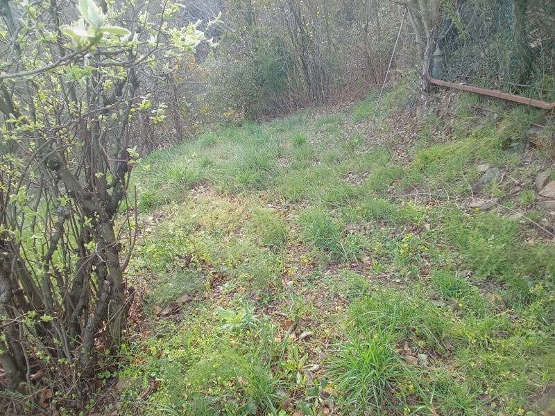 Maison à ARLES-SUR-TECH