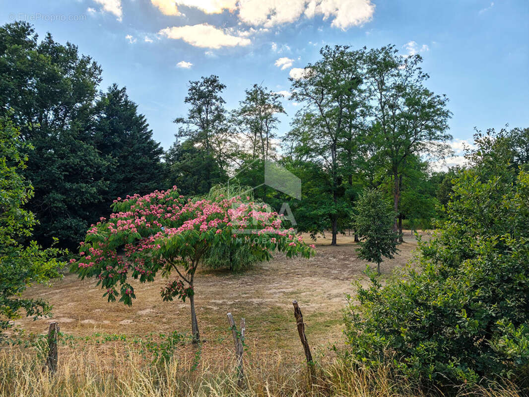 Maison 190m² à germigny-des-prés - photo 15