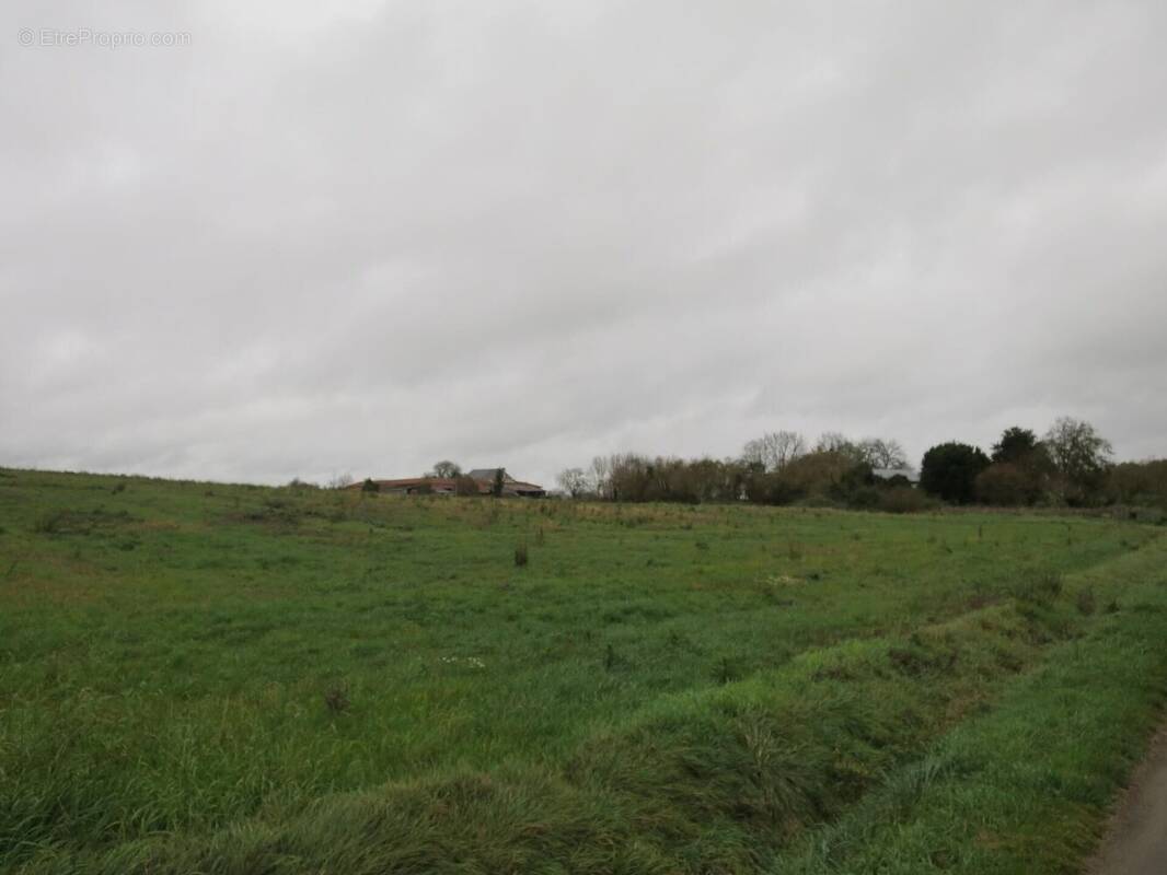 Photo 1 - Terrain à DOUSSAY