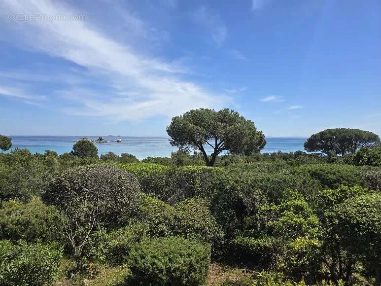 Maison à PORTO-VECCHIO