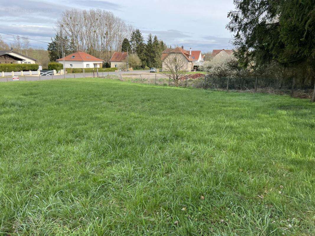 Terrain à PUTTELANGE-AUX-LACS