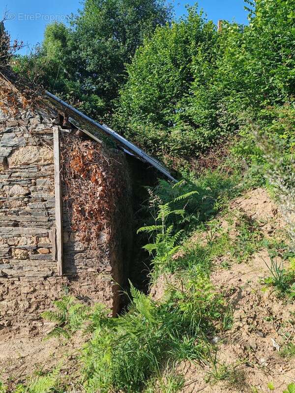 Photo 3 - Maison à SAINTE-MARIE