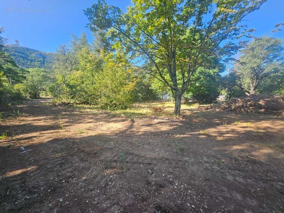 Terrain 167 m² à Plan-D'aups-Sainte-Baume  - photo 3