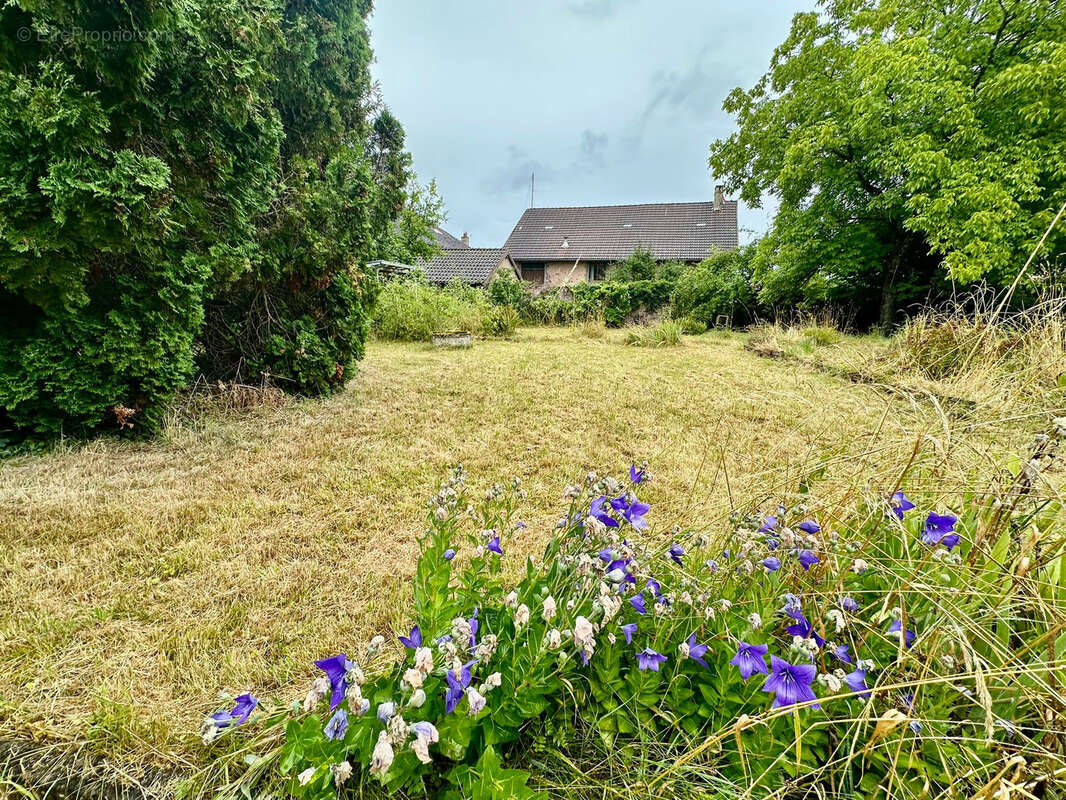 Maison à GRANGES-LE-BOURG