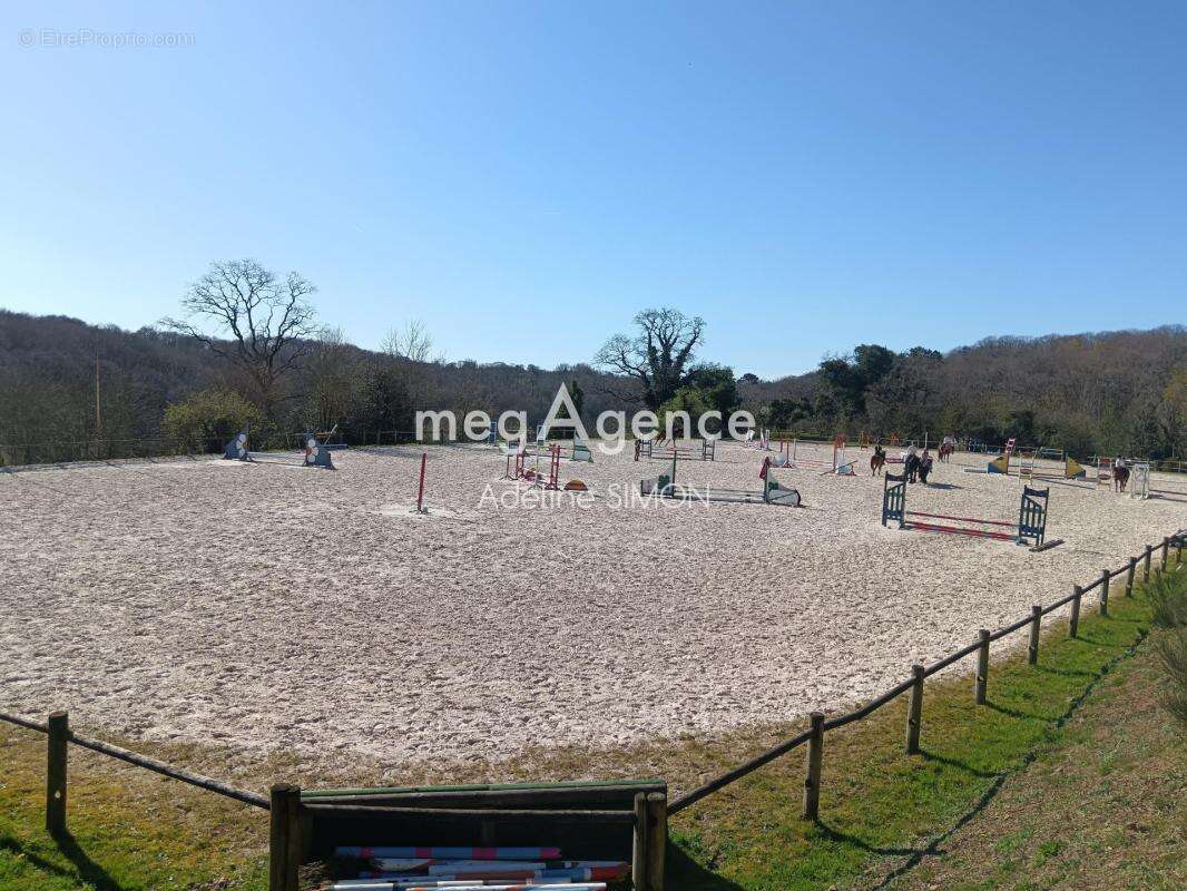 Domaine équestre avec gites et 24 ha - photo 5