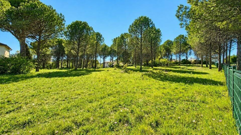 Terrain à ROQUEBRUNE-SUR-ARGENS