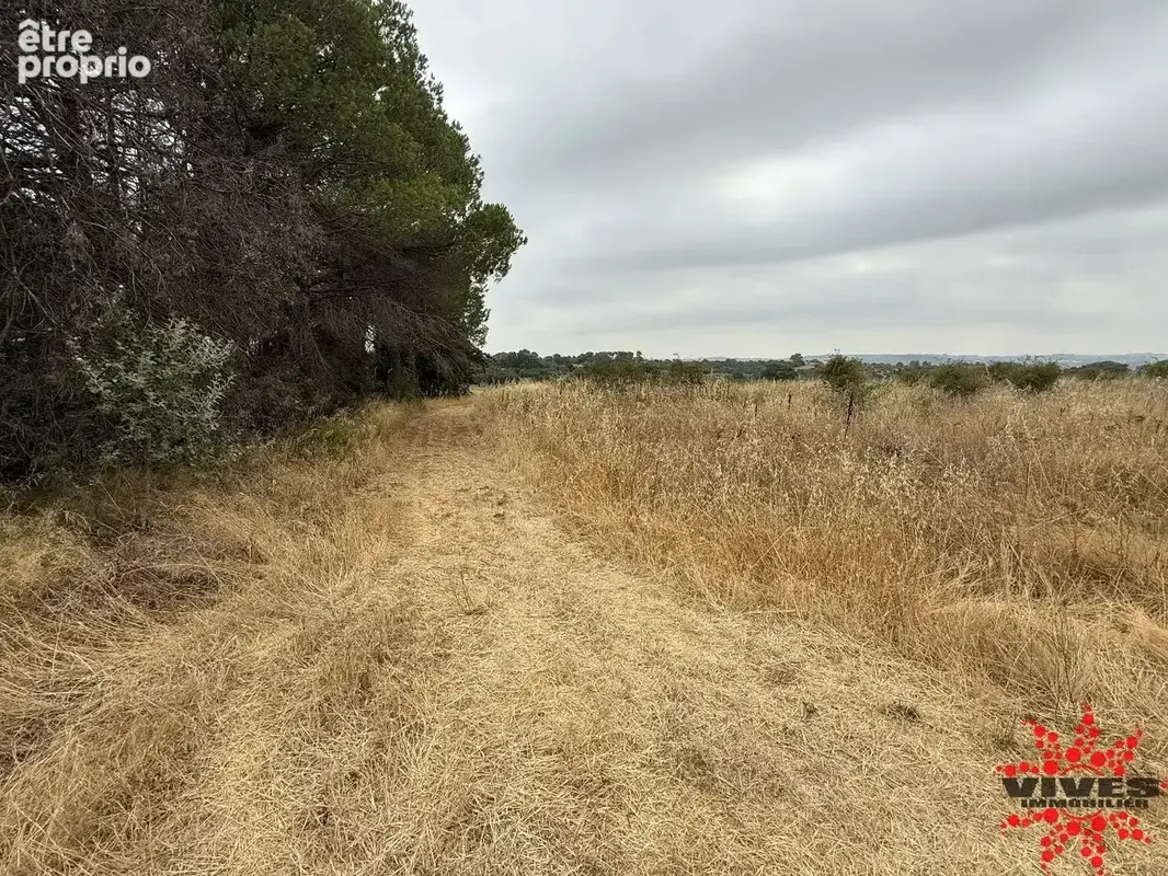 Terrain agricole ou de loisirs - photo 5