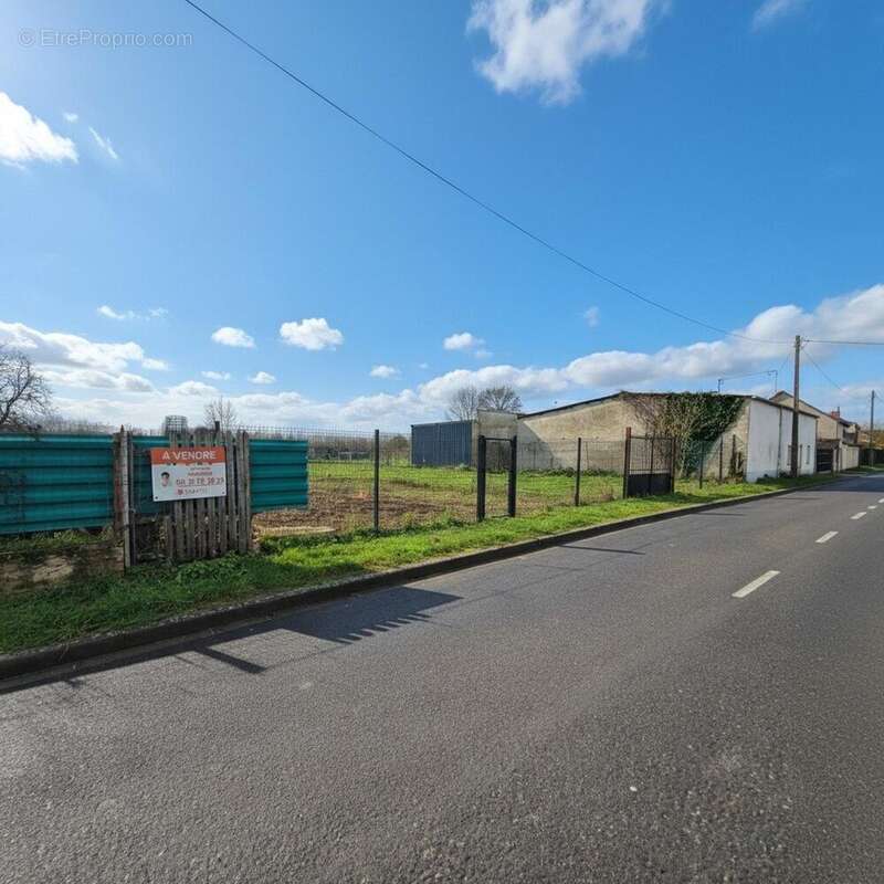 Photo 3 - Terrain à VERSIGNY