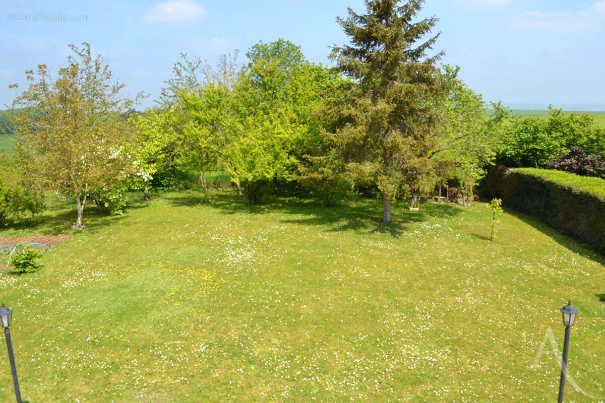 Belle maison sur S/sol total, 6 chambres sur 1573m² de terrain à PERDREAUVILLE - photo 3
