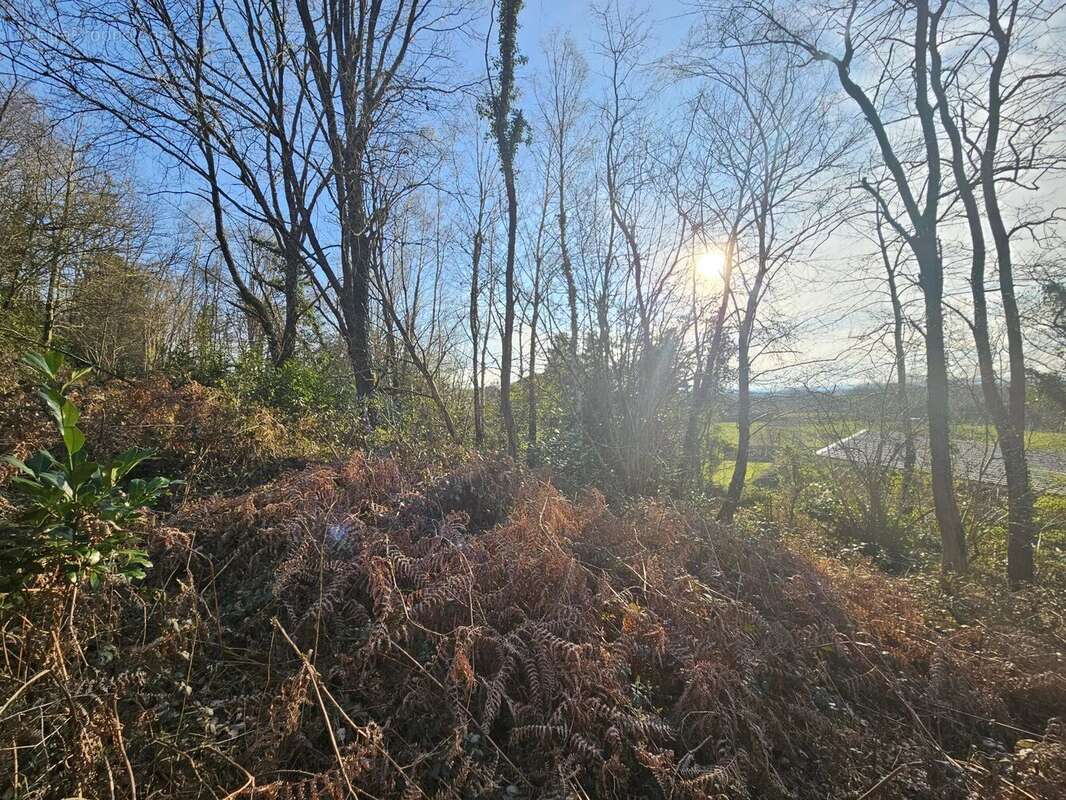 Terrain à BARBAZAN-DEBAT