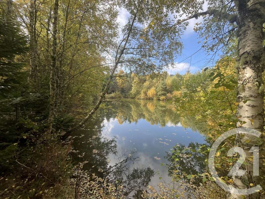 Terrain à BURDIGNES