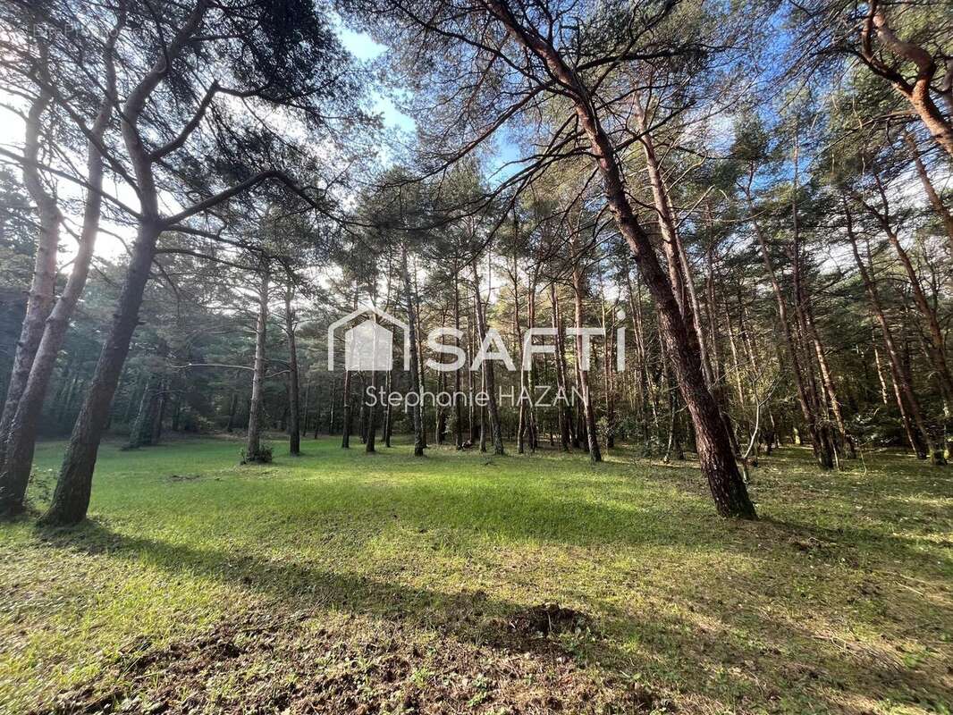 Photo 3 - Maison à PLAN-D&#039;AUPS-SAINTE-BAUME