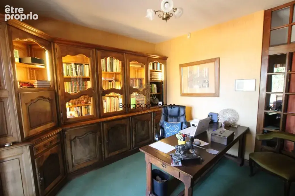 Bourgogne du sud- belle maison familiale 204 m²  -terrain de 8257 m² -sous-sol - acces privatif a la loire - photo 9