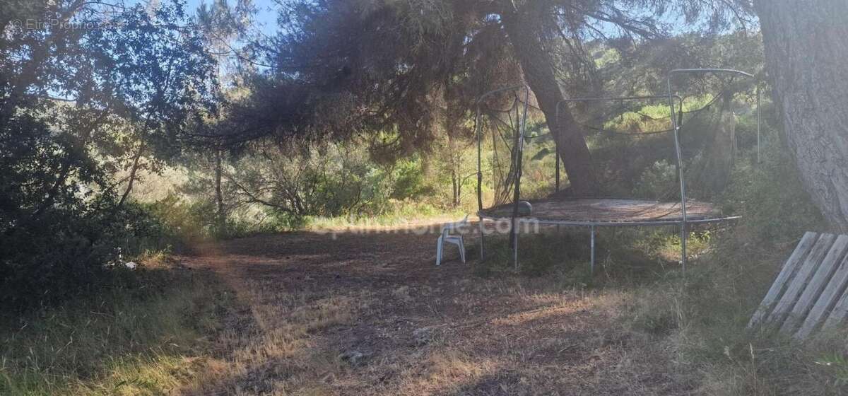 Grande villa T5 avec gite T2 en pleine nature! - photo 15