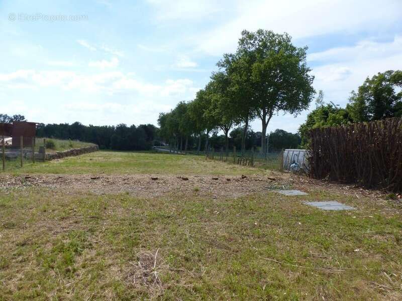 Appartement à NEUVILLE-LES-DAMES