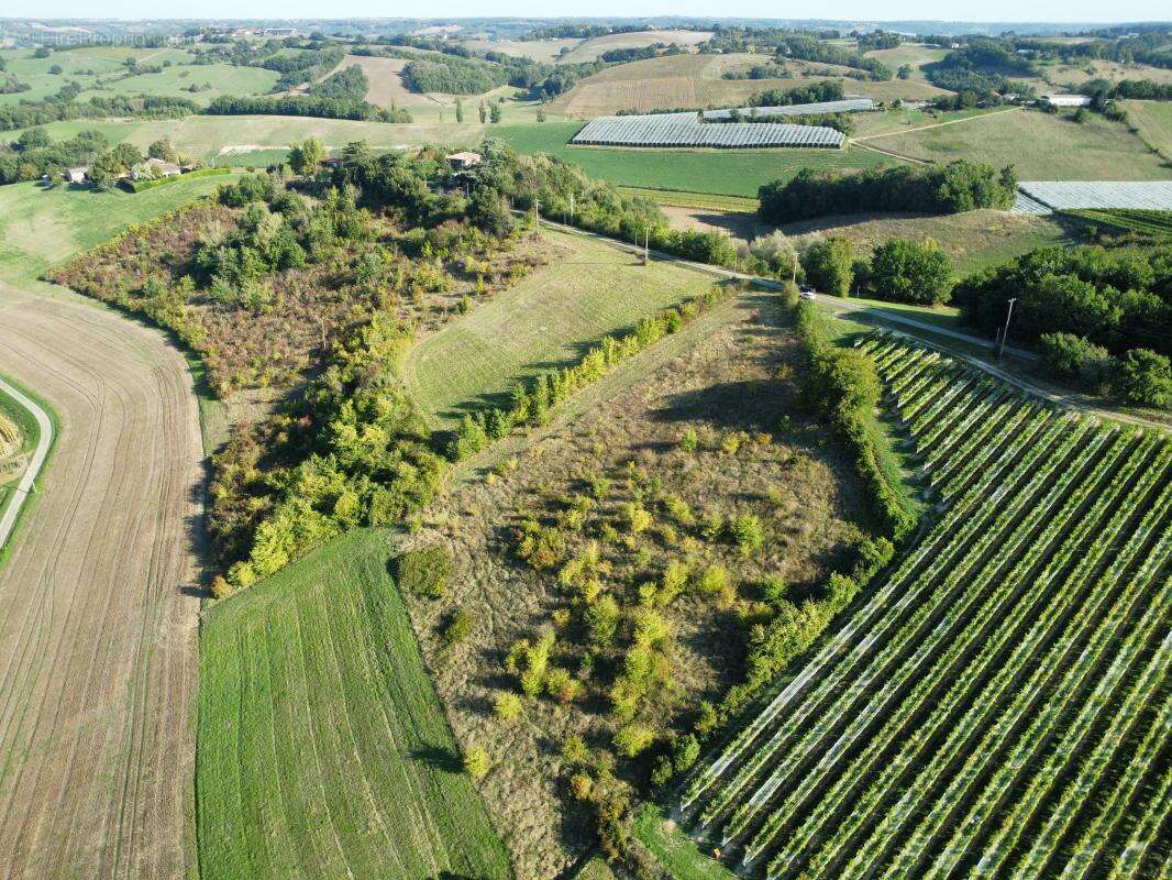 Terrain à MOISSAC