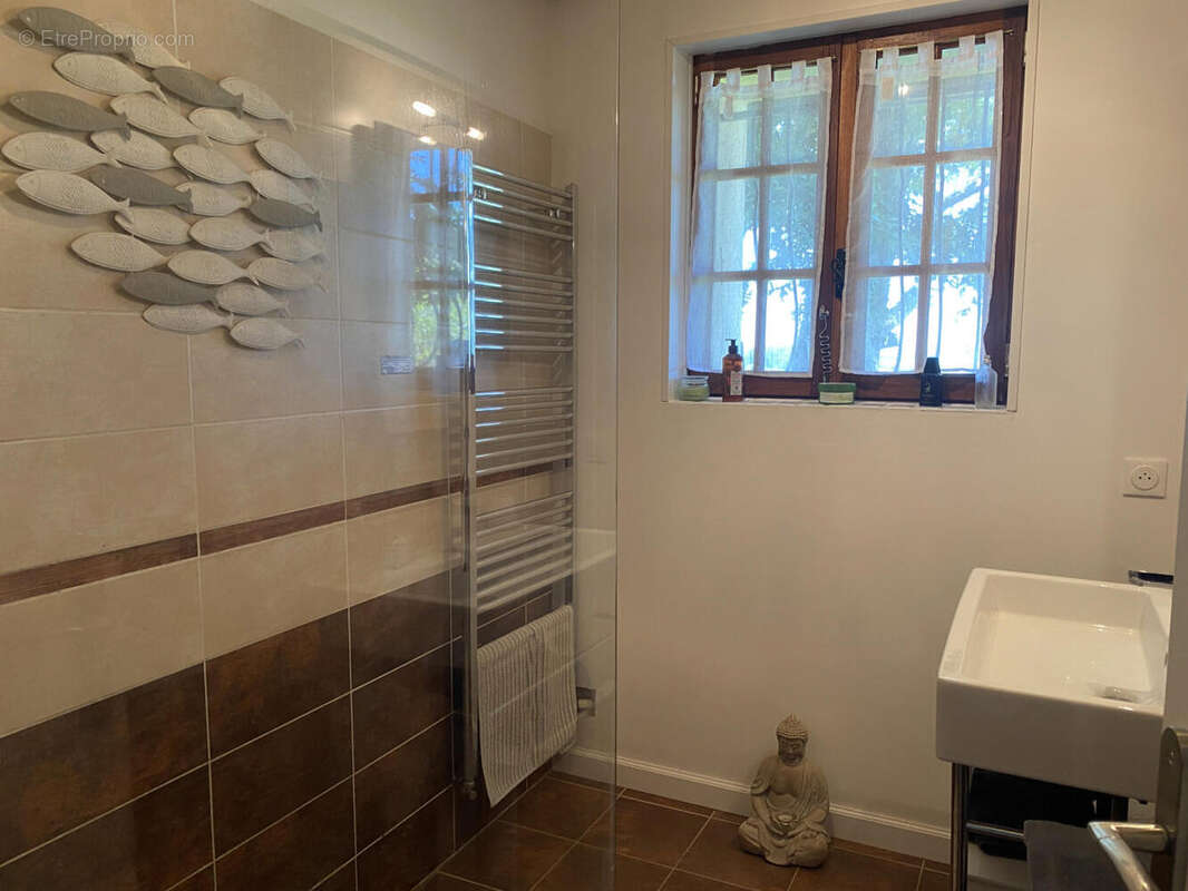 -downstairs shower room - Maison à BELLON