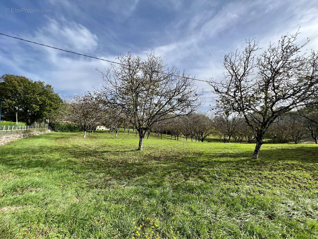 Terrain à TERRASSON-LAVILLEDIEU
