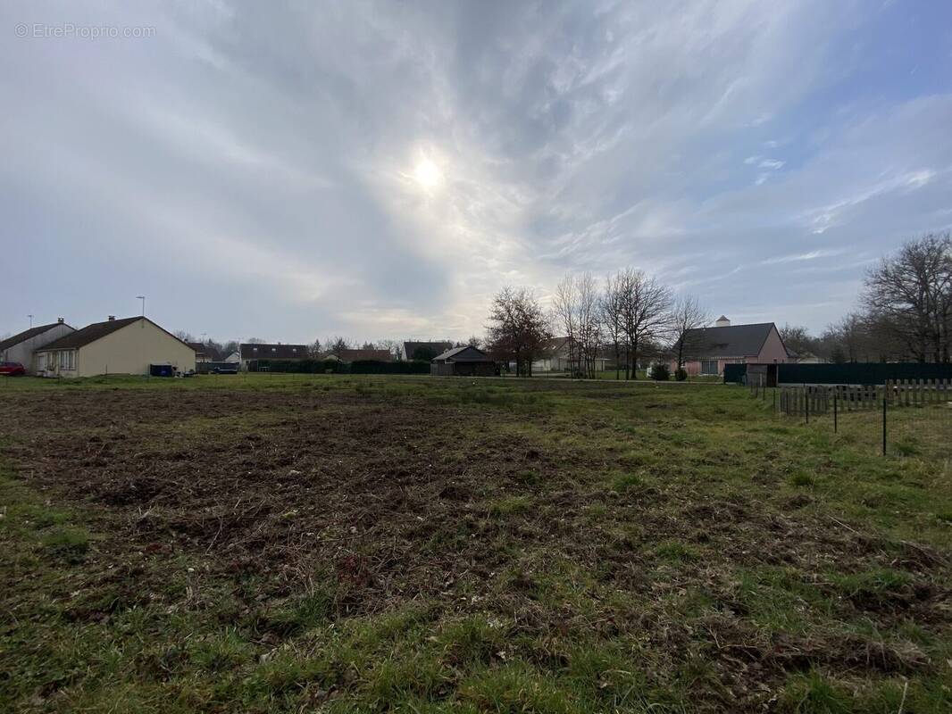 Terrain à LA FERTE-IMBAULT