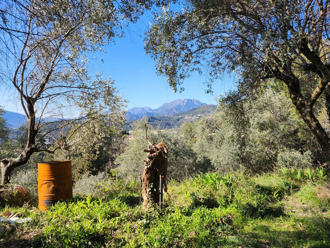 Terrain à SAINT-BLAISE
