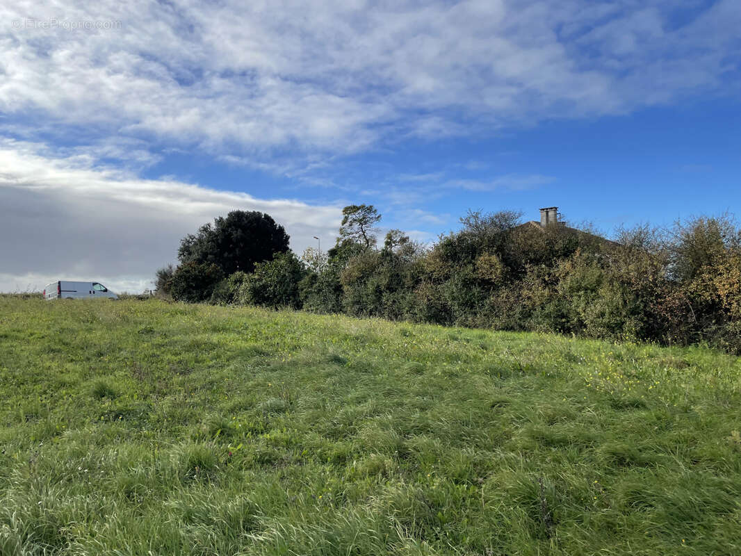 Terrain à SALLES-SUR-MER