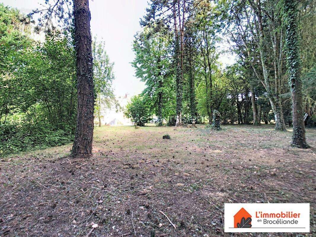 Charmante longère en Brocéliande sur 2 500m² - photo 4