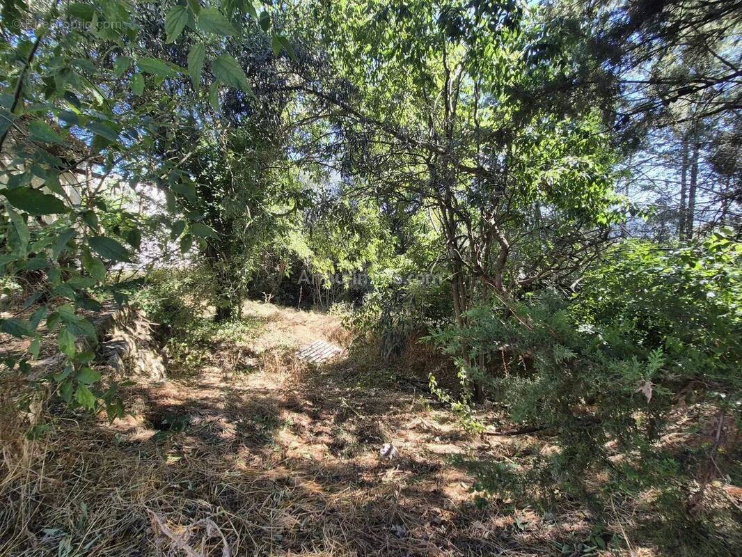 Terrain à DRAGUIGNAN