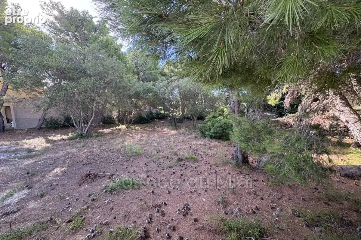 Terrain 702 m² à vendre à Leucate (11370) - photo 9