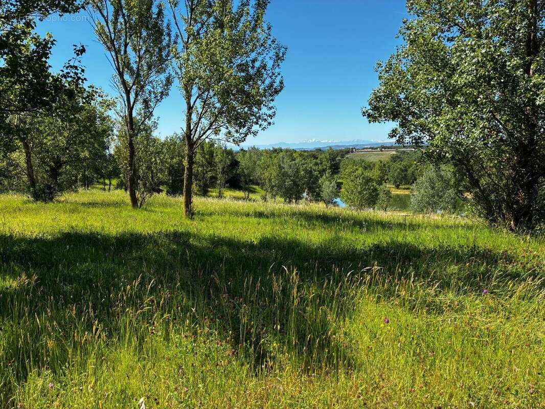 Terrain 40472 m² à Saint-Papoul  - photo 3