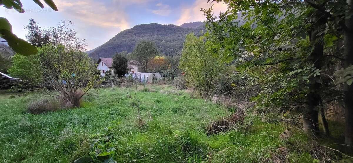 Terrain à SECHILIENNE